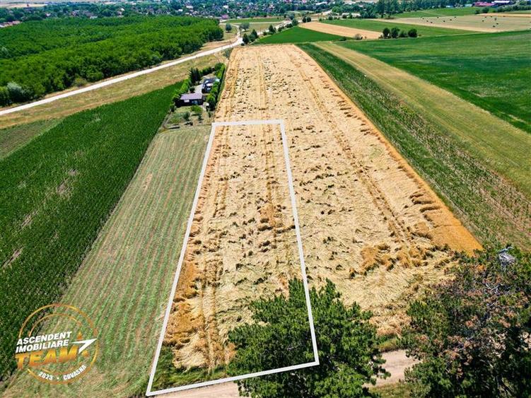 Teren agricol extravilan de 2268 mp, în Valea Crișului