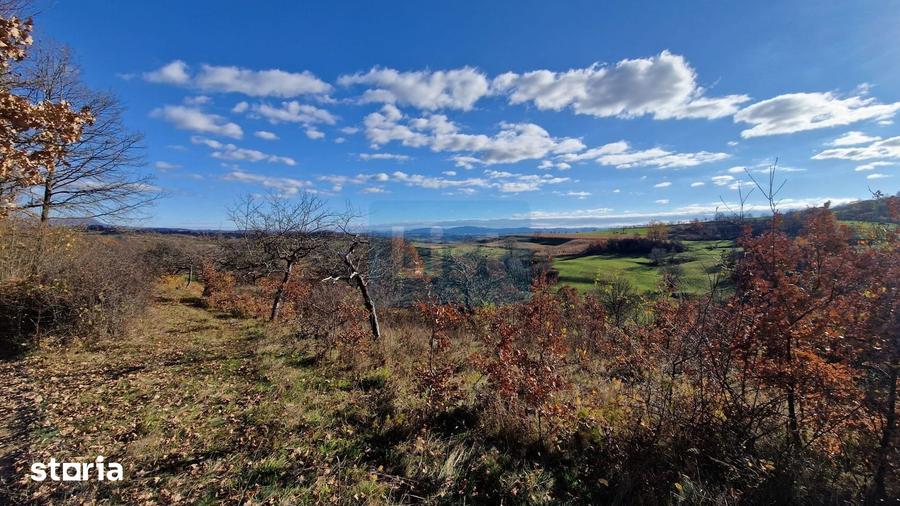 Teren de 5578 mp, în Groși