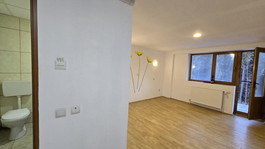 Hotel/Pensiune, de 51 mp, în Vlădeț - Trei Brazi
