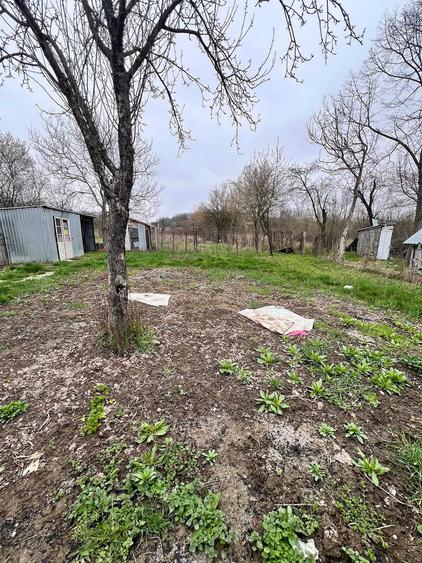 Casă cu Teren 2244 Mp în Oveselu