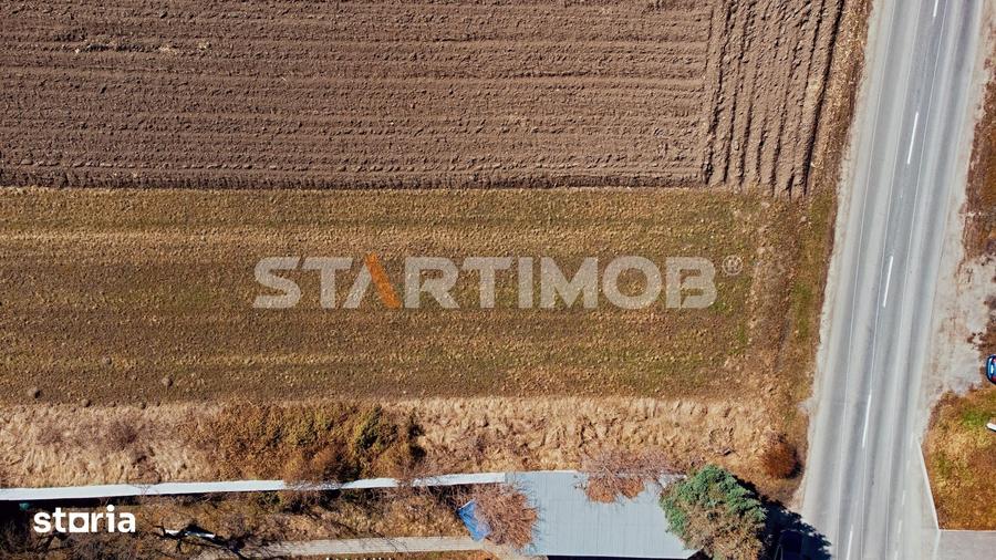 Teren intravilan cu PUZ str Albinelor Stupini - 8