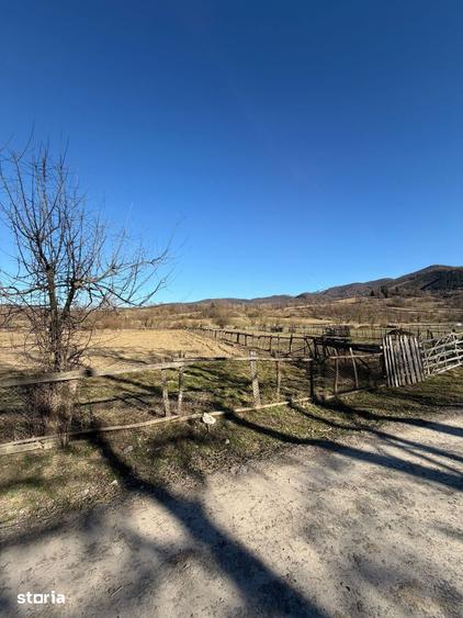 Teren de 1015 mp, în Șinca