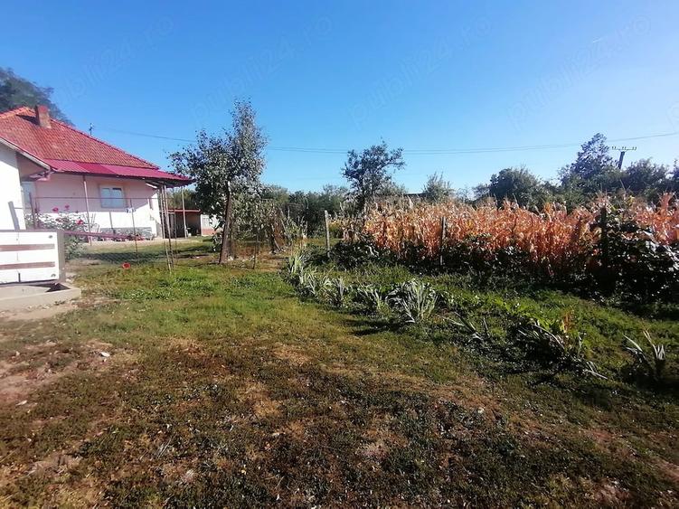 Casă cu 3 camere cu Teren 8600 Mp în Bumbești-Pițic