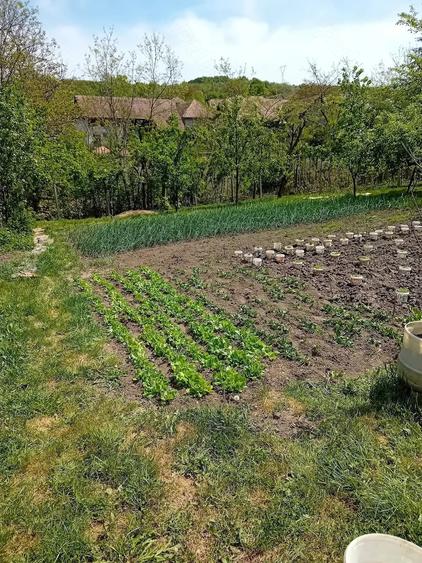 Casă cu 2 camere cu Teren 800 Mp în Cornești (Crăciunești)