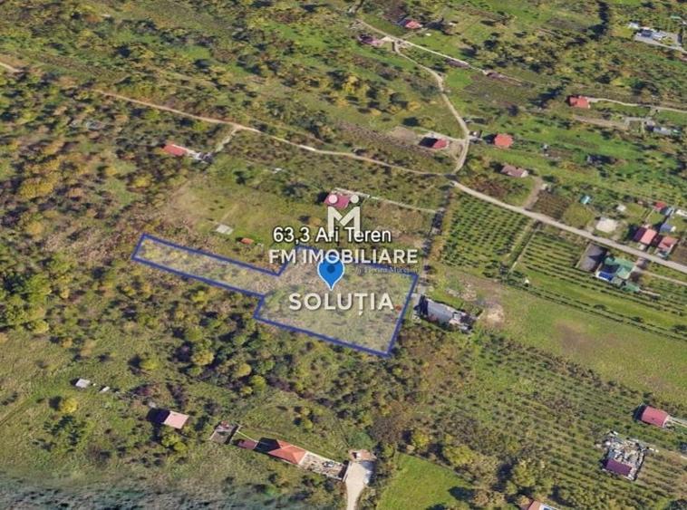 Teren agricol extravilan de 6330 mp, în Valea Borcutului