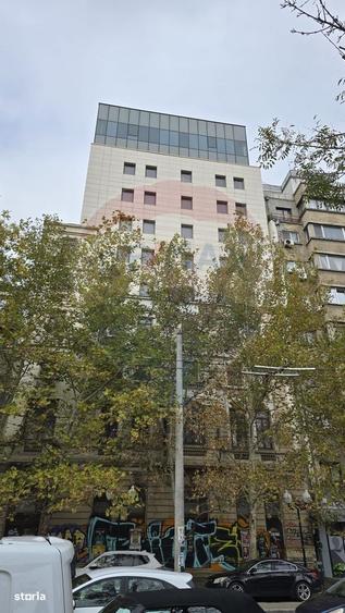 Spațiu comercial, de 4,800 mp, în Rosetti