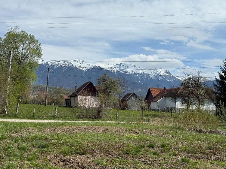 Teren Construcții intravilan de 2797 mp, în Bran