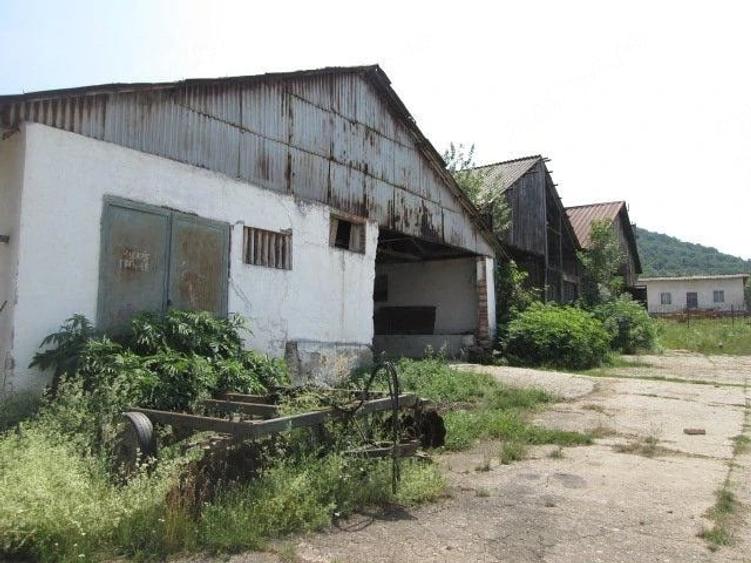 Teren în Șopotu Vechi