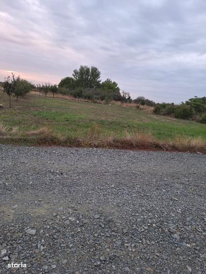 Teren intravilan 608 mp Dumbravita, zona IKEA | toate utilitatile - 1