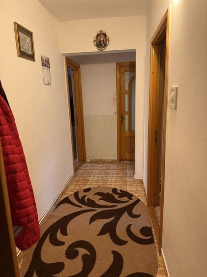 Apartament cu 2 camere în Paltin