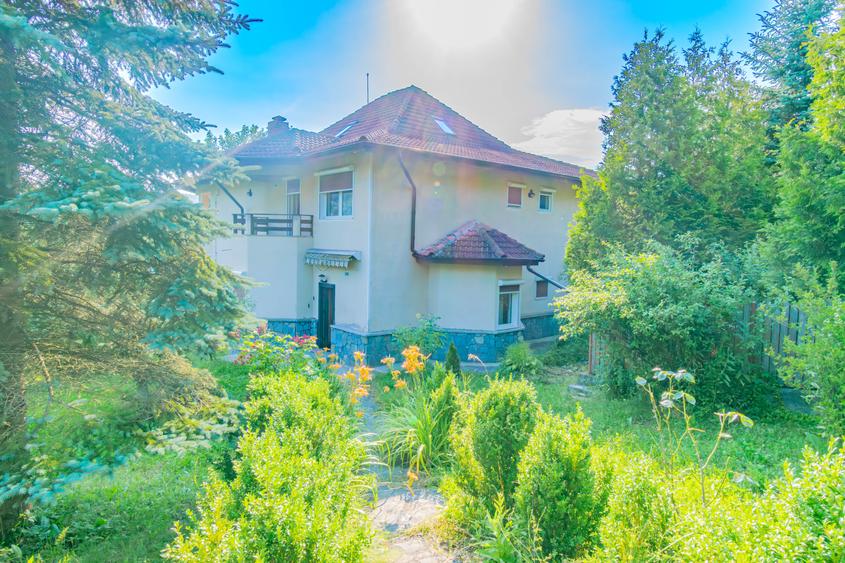 Vila la poalele padurii-Provita de jos - 8