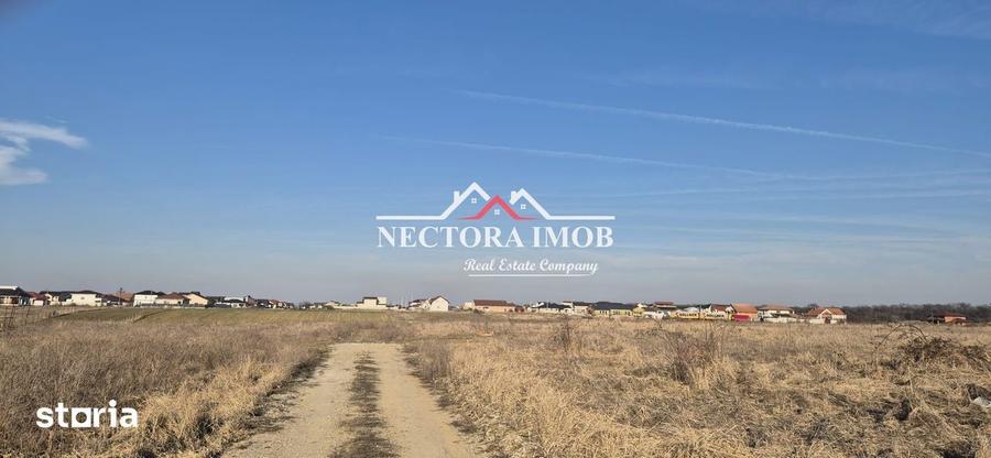 NECTORA IMOB Exclusivitate - Teren Intravilan, 507 mp, Zona CIHEI - 4