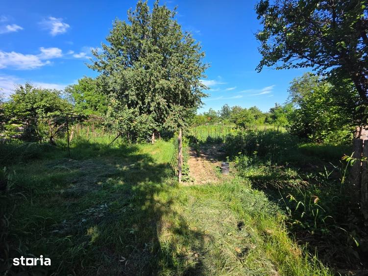 Casă cu 2 camere cu Teren 1200 Mp în Central