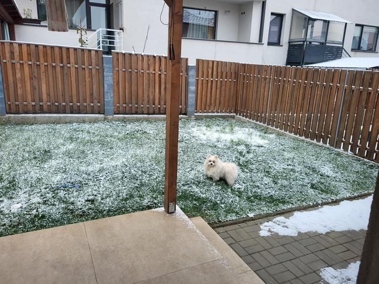 Duplex cu 4 camere cu Teren 250 Mp în Florești