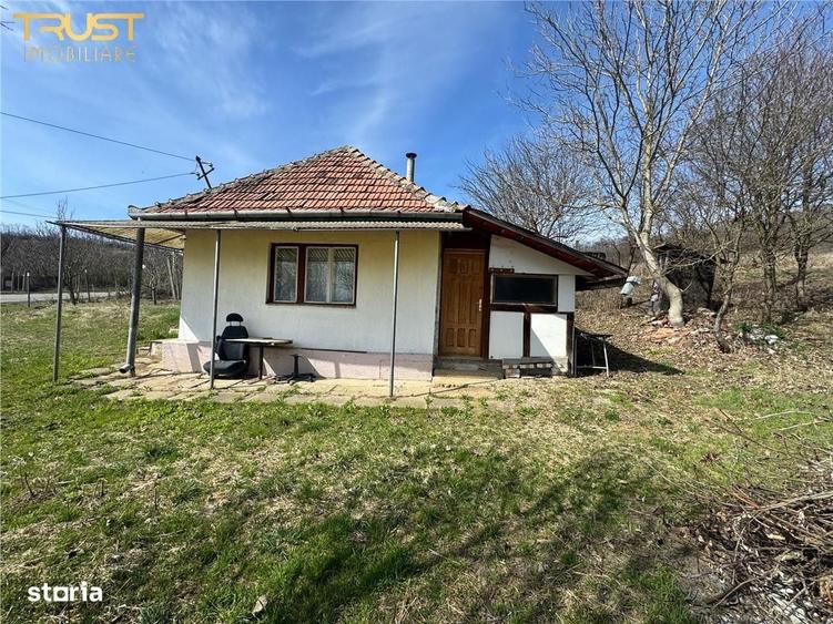 Spațiu comercial, în Corpadea