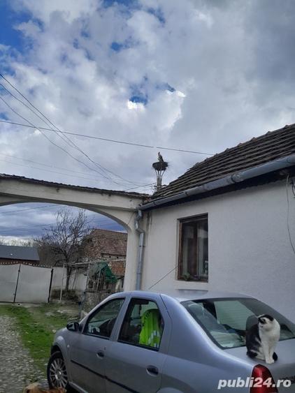 Casă cu 6 camere cu Teren 9000 Mp în Orăștioara de Jos