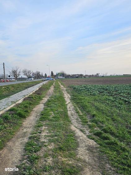 Teren de 21600 mp, în Gepiu