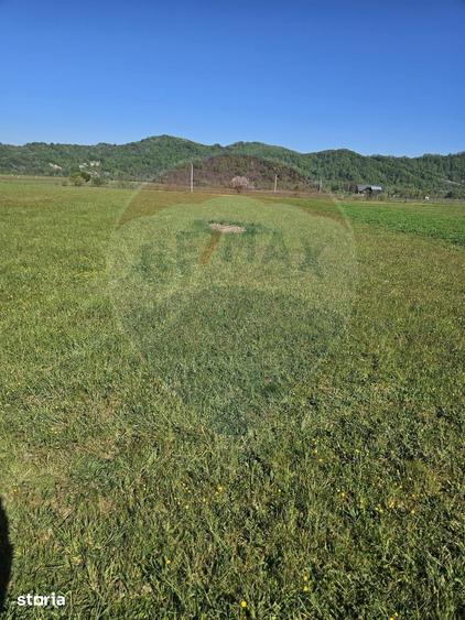 Teren de 1780 mp, în Bocicoiu Mare