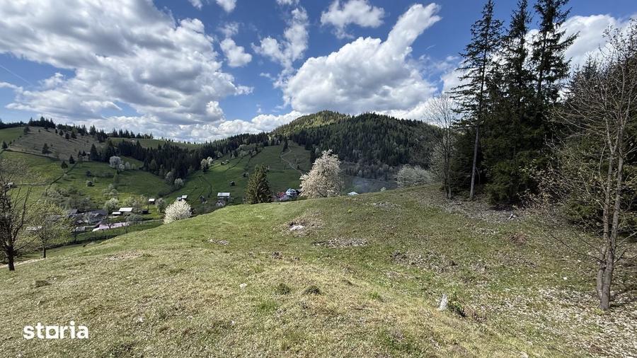 Teren de 22959 mp, în Sadova