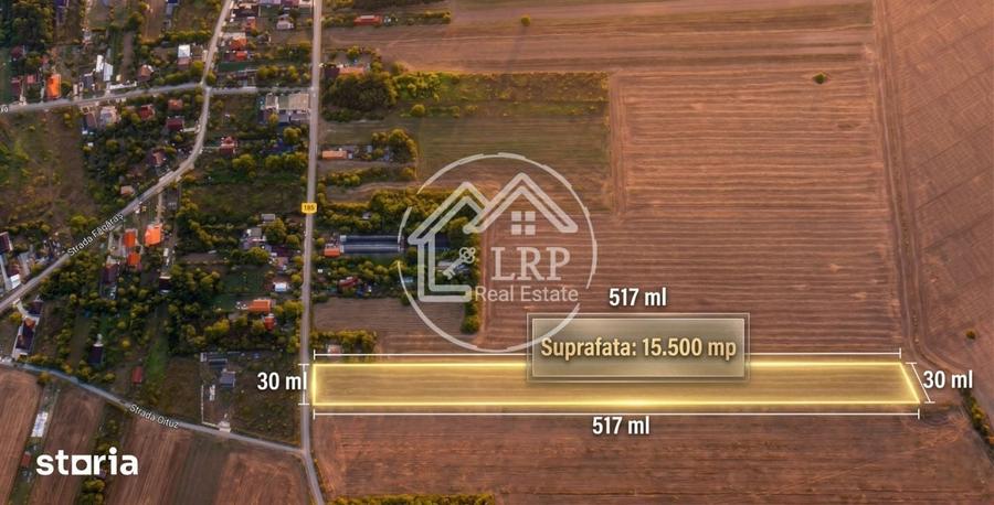 Teren de 15500 mp, în Dascălu