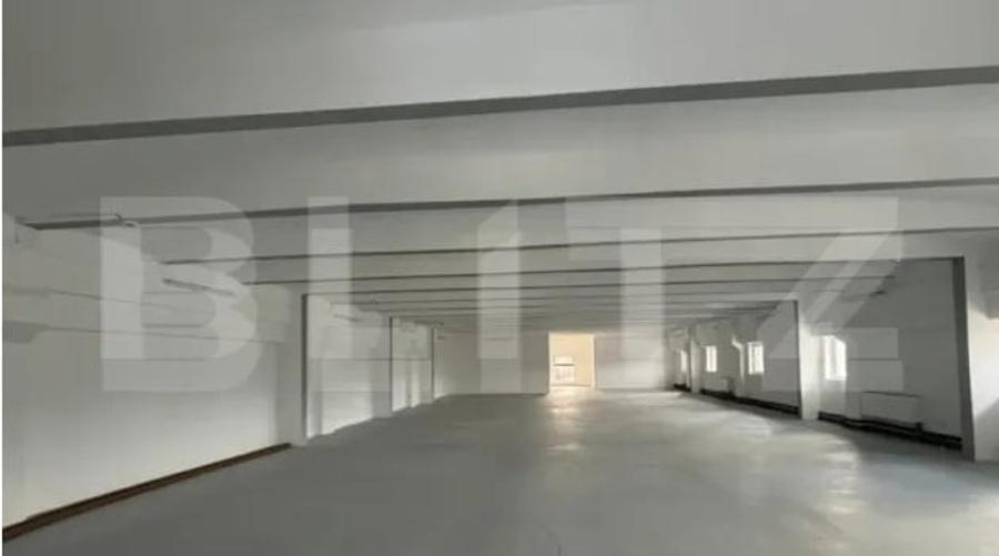 Spațiu comercial, de 720 mp, în Lipovei