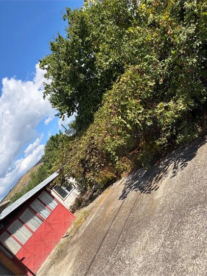 Casă cu Teren 4600 Mp în Văleanca-Vilănești