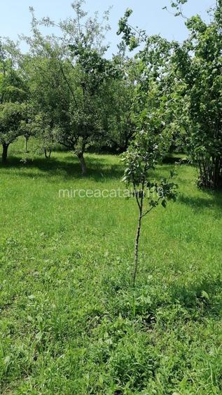 Teren de vanzare 1.954 mp, cu utilitati disponibile!