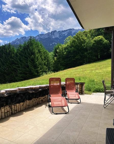 Casă cu Teren 20000 Mp în Plaiul Foii