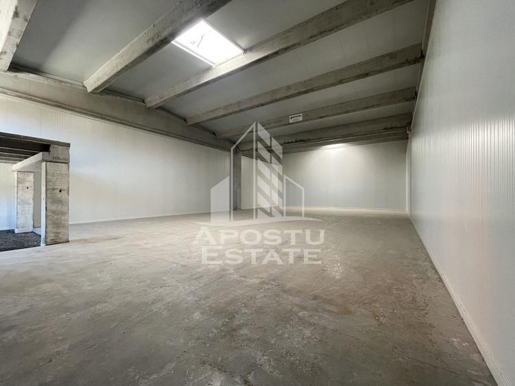 Spațiu industrial, de 1,046 mp, în Sânandrei