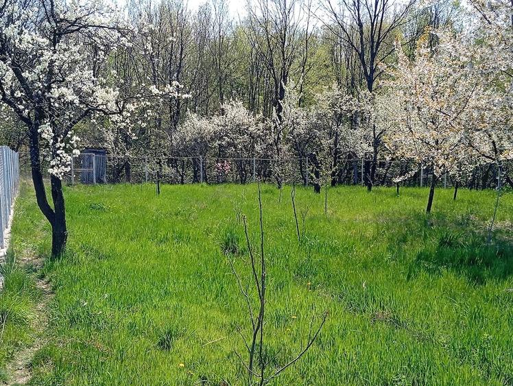 Casă cu 3 camere cu Teren 1848 Mp în Cocu