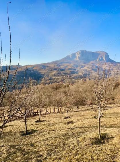 Teren în Buceș