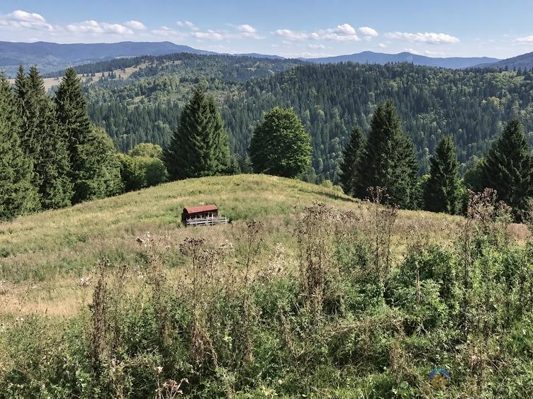 Teren intravilan de 4000 mp, în Ceahlău