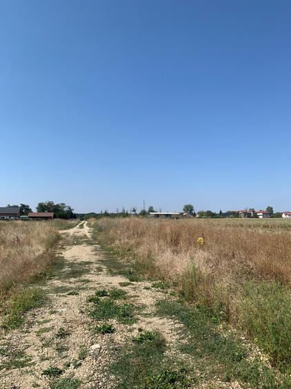 Teren Construcții intravilan de 4250 mp, în Snagov