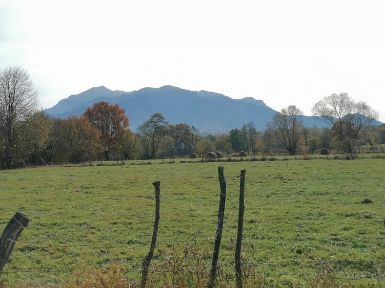 Teren agricol extravilan de 13000 mp, în Sohodol