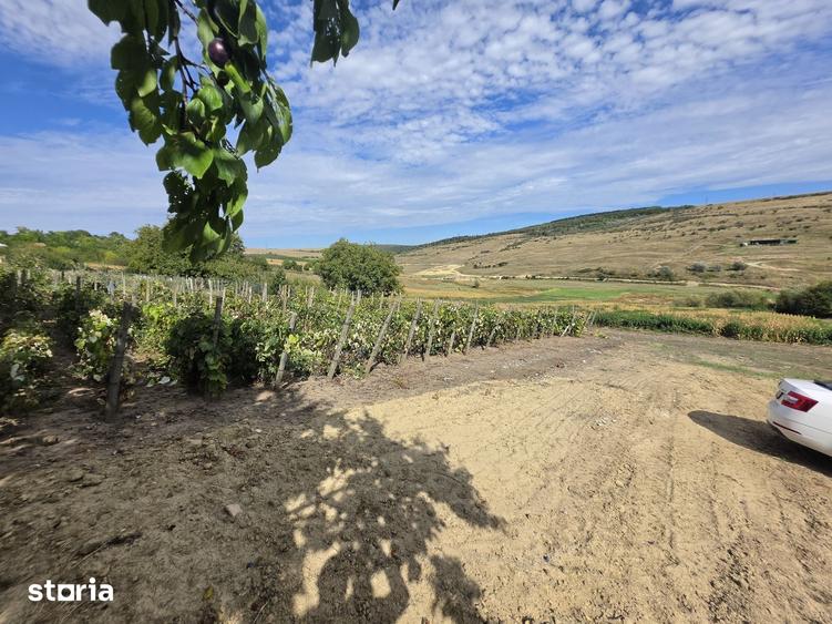 Teren de 9300 mp, în Aroneanu