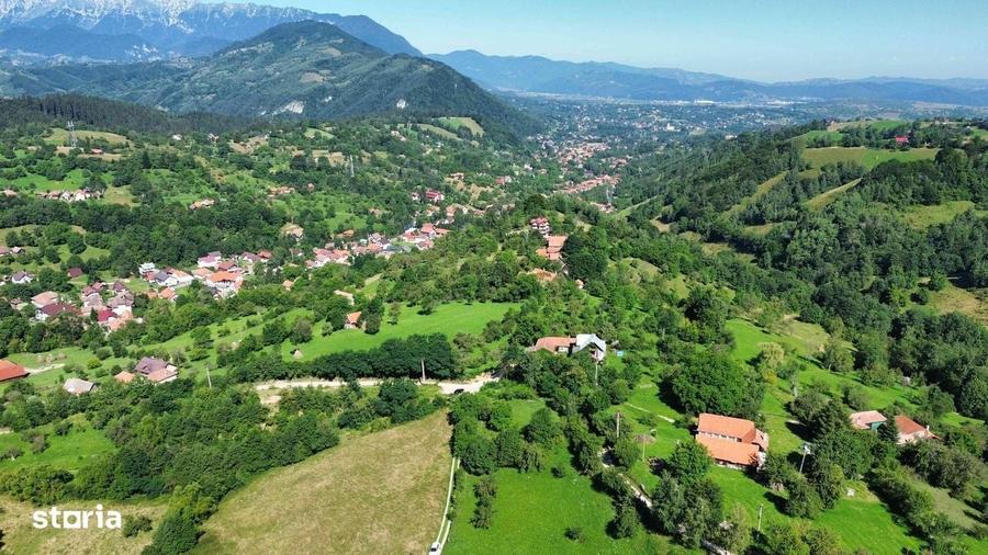 Spațiu comercial, în Bran