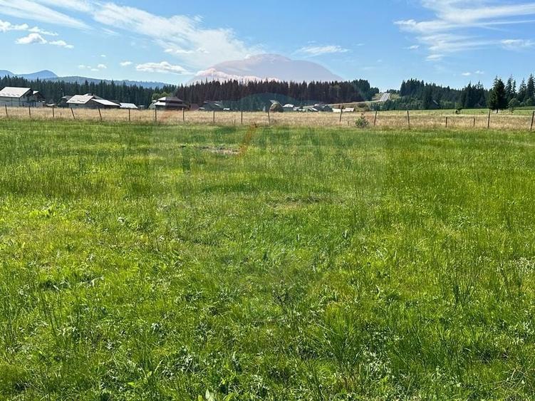 Teren Construcții intravilan de 30930 mp, în Poiana Stampei