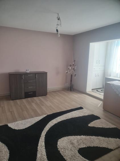 Apartament cu 3 camere decomandat, mobilat în Torontalului