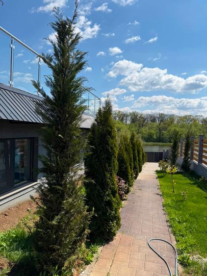 Casă individuală cu 5 camere cu Piscina în Corbeanca