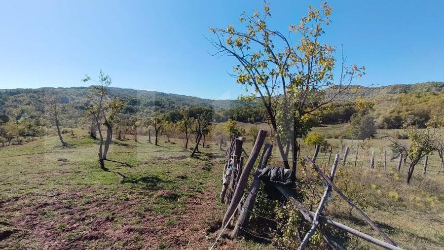 Teren agricol extravilan de 7382 mp, în Valea Lungă-Cricov