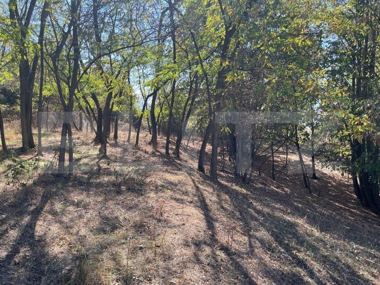 Teren Construcții extravilan de 7928 mp, în Urvind