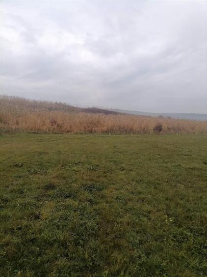 Teren Construcții intravilan de 2900 mp, în Corușu