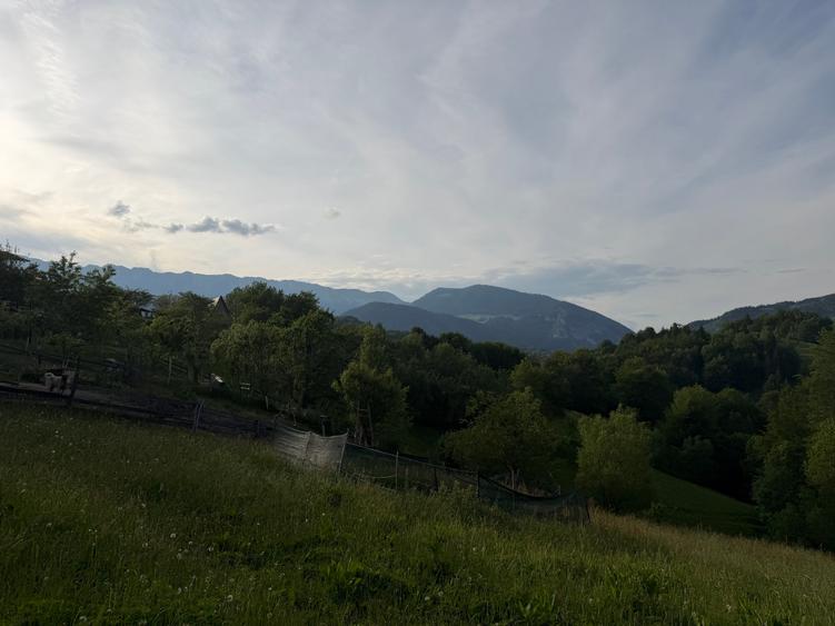 Teren Construcții intravilan de 2000 mp, în Peștera
