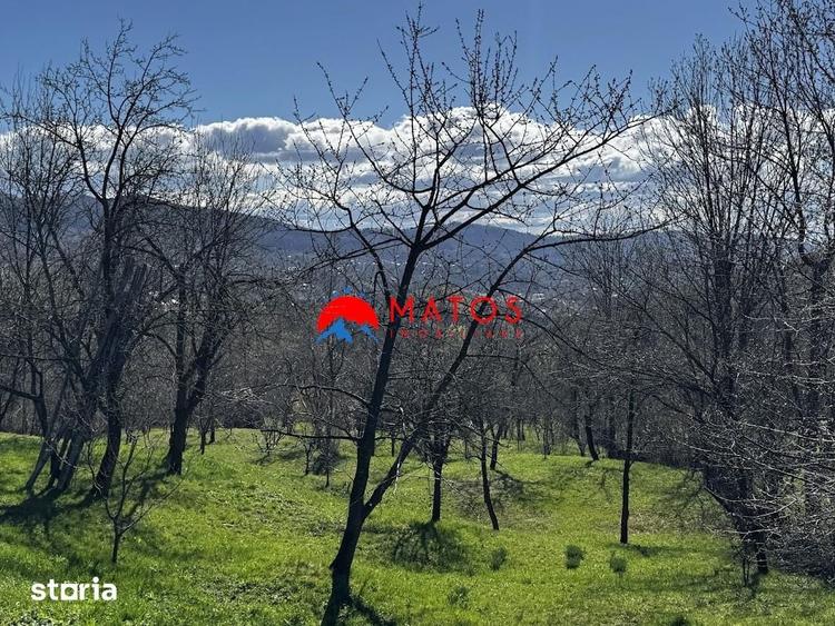 Casă cu 3 camere cu Teren 3025 Mp în Ghioșești