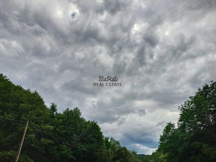 Teren de 5800 mp, în Podele