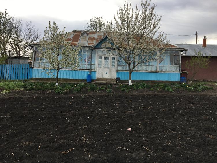 Casă individuală cu 5 camere cu Teren 4500 Mp în Viișoara