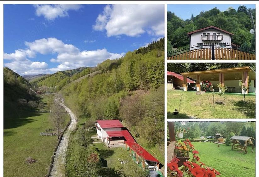 Casă cu Teren 1500 Mp în Bănița