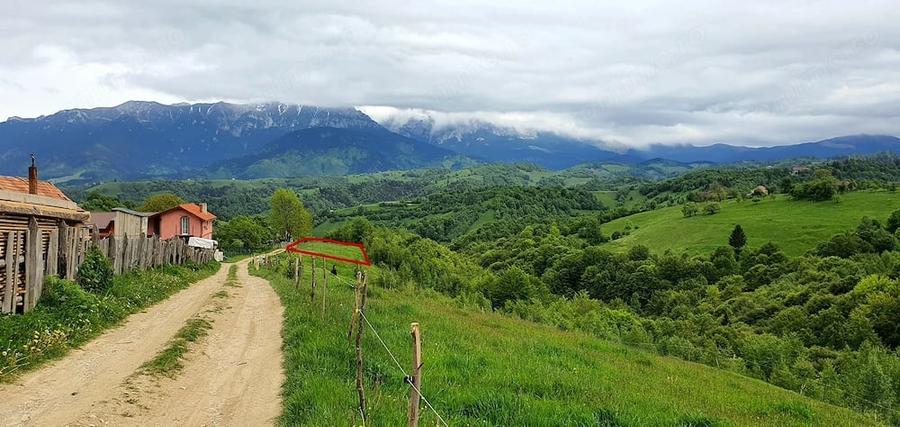 Teren de 2500 mp, în Peștera