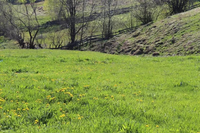 Teren în Măguri