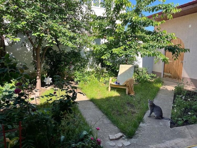 Casă cu 3 camere cu Teren 265 Mp în Giurgiului